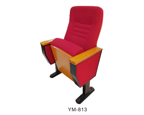 YM-813